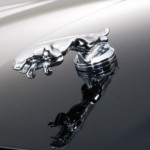 Jaguar XK8 XKR Chome Leaper