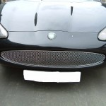 Jaguar XK8 XKR 2005 to 2006 Mesh Grill
